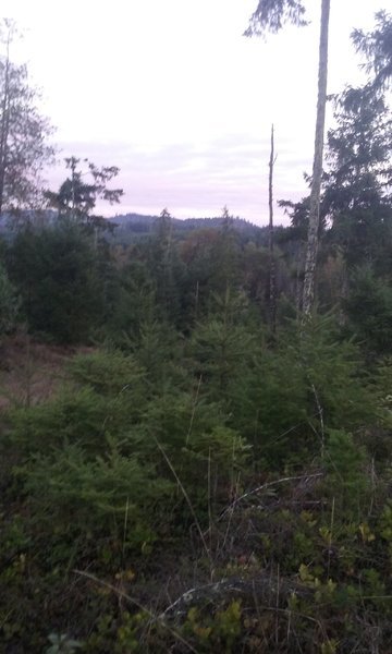 20161217_164015.jpg