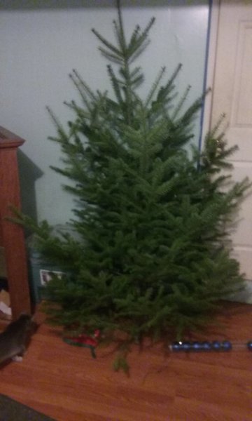 20161217_170830.jpg