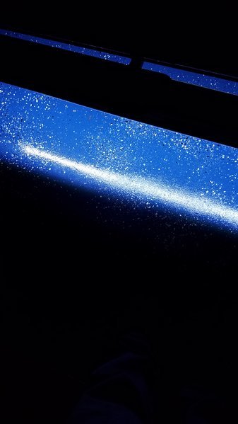 20161217_172903.jpg
