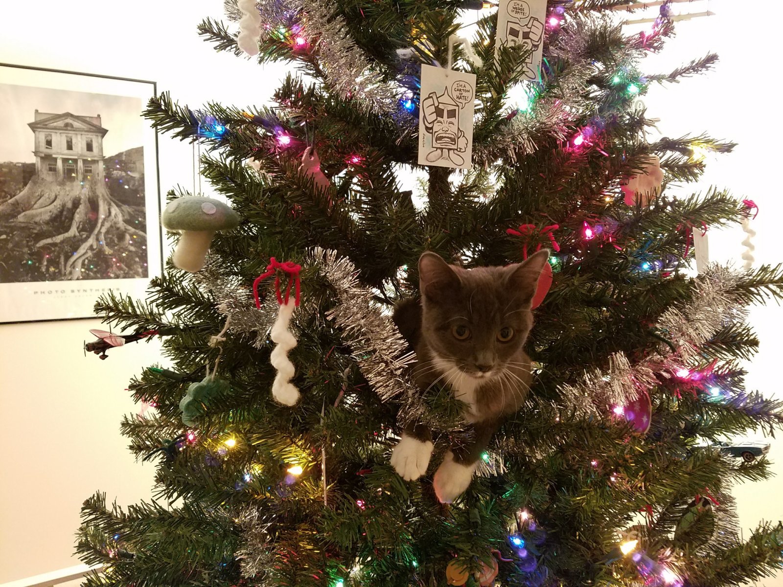 20161217_220611.jpg