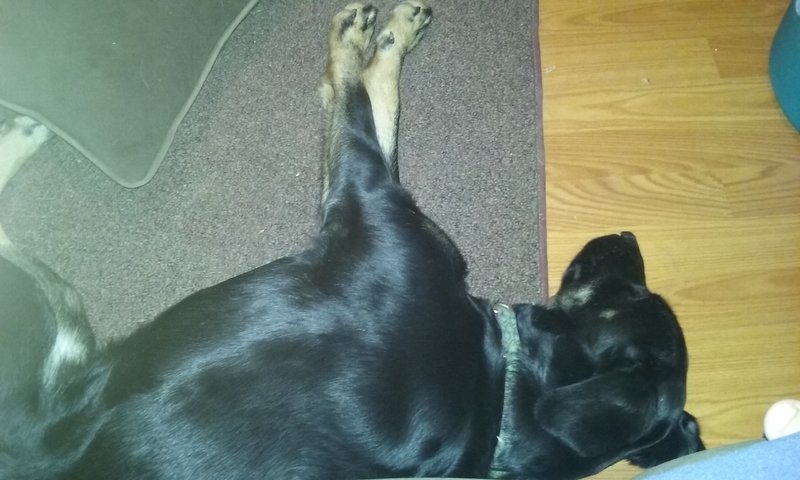20161220_211006.jpg
