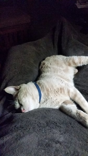 20161221_054522.jpg