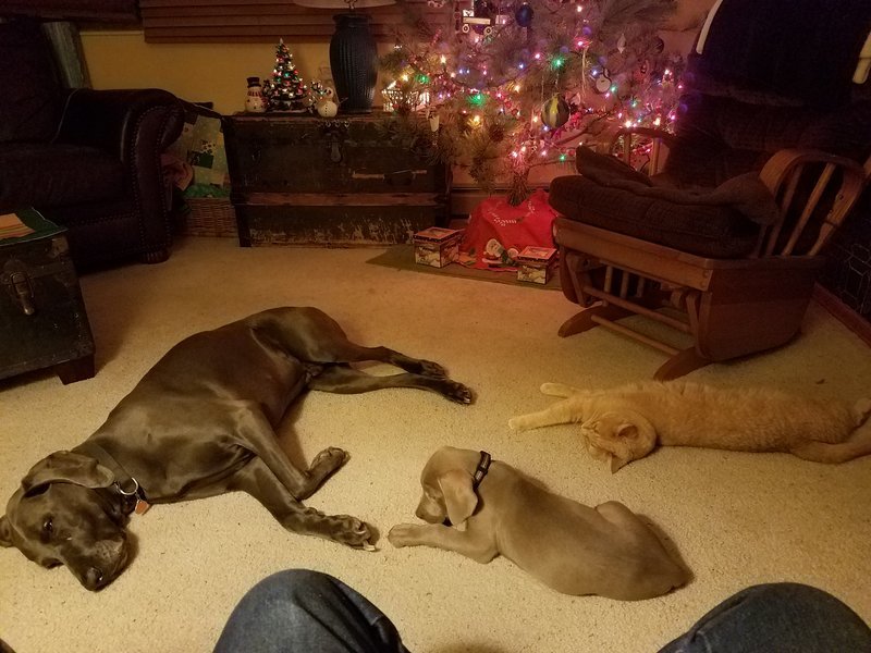 20161221_180300.jpg