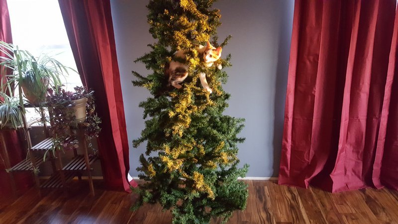 20161222_162332.jpg