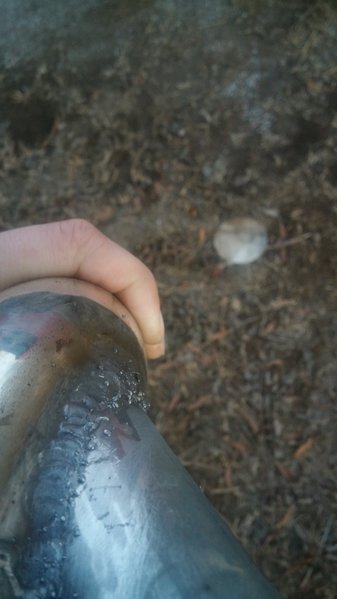 20161222_165516_HDR.jpg