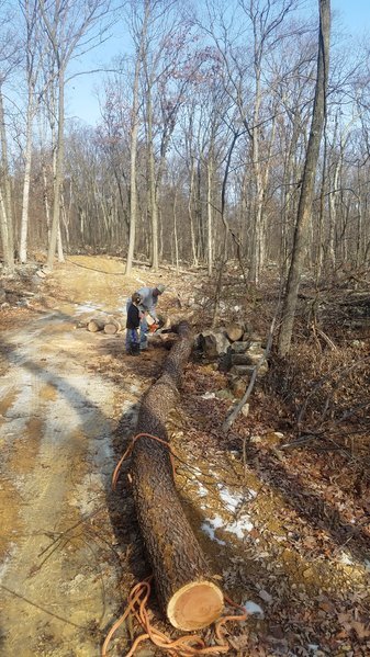 20161223_131022.jpg