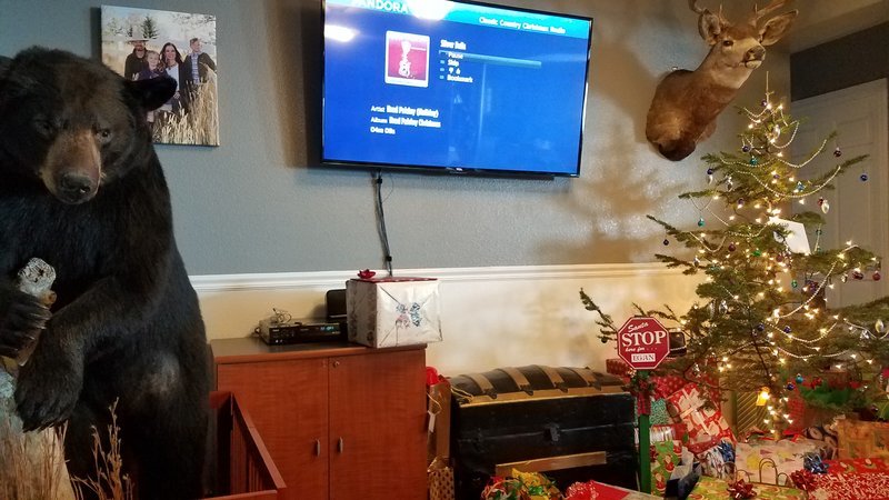 20161225_100753.jpg