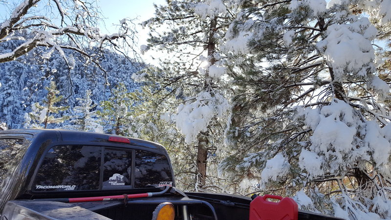 20161225_144141.jpg