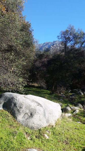 20161226_134618.jpg