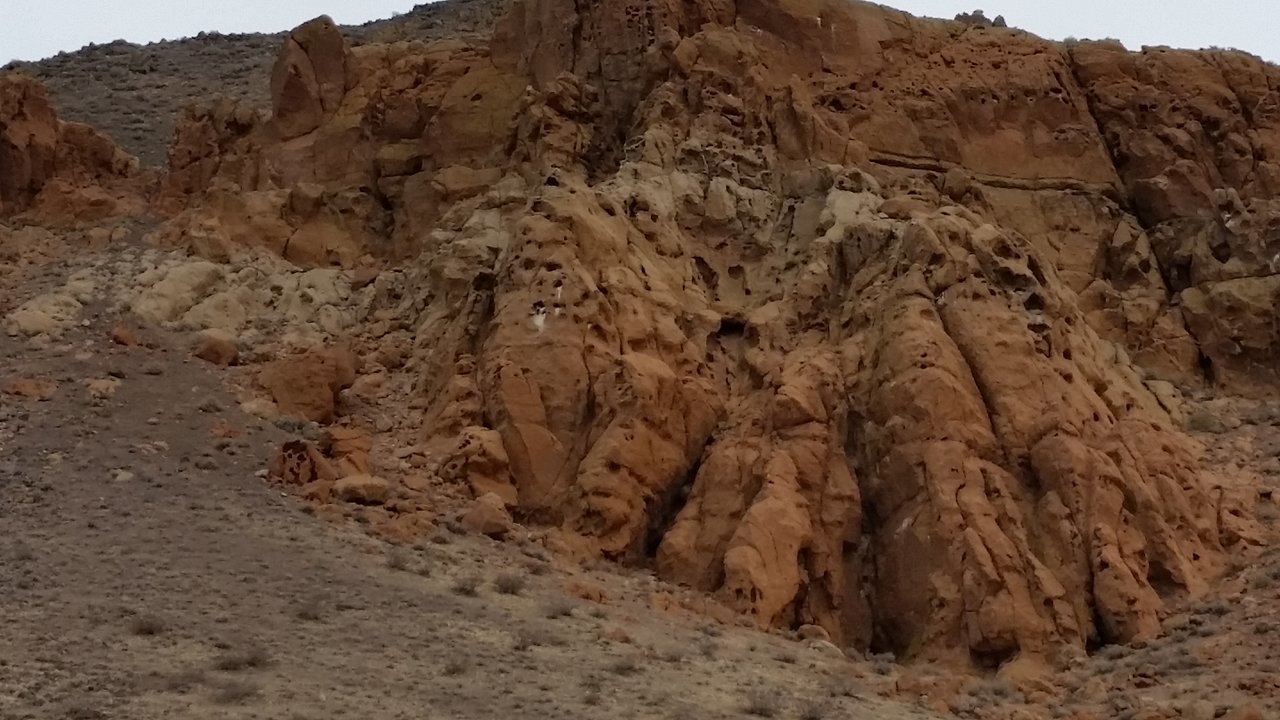 20161226_140146.jpg