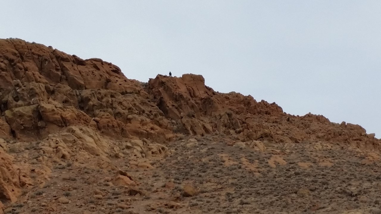 20161226_141423.jpg