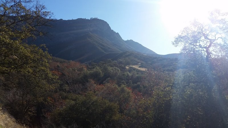 20161228_094742.jpg