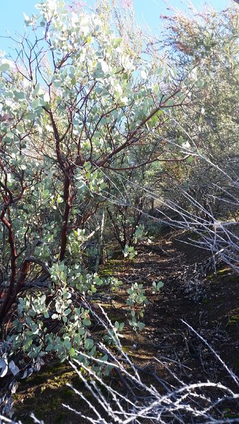 20161228_105856.jpg