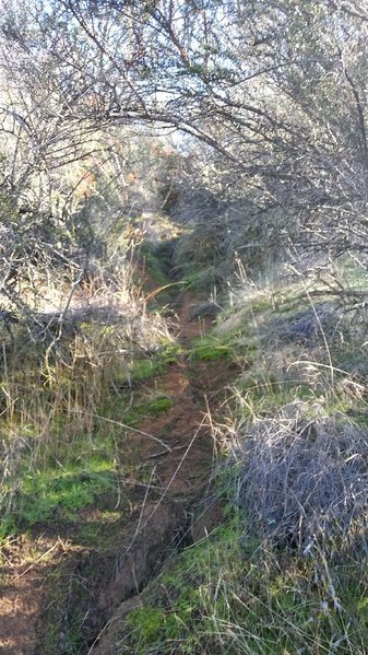 20161228_110720.jpg