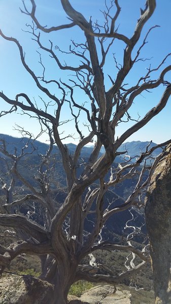 20161228_114238.jpg