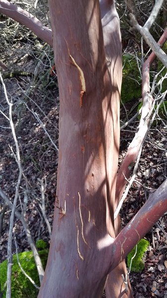 20161228_114702.jpg
