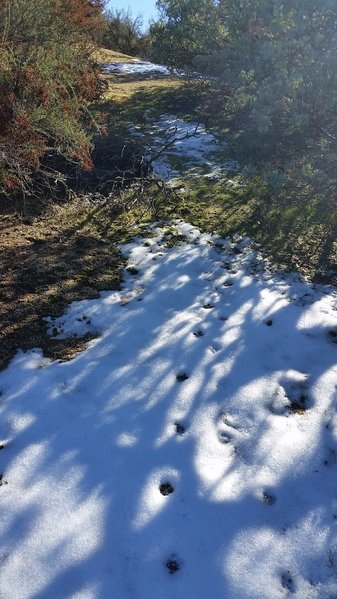 20161228_121844.jpg
