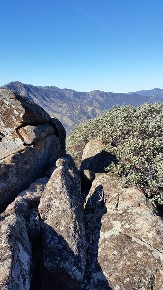 20161228_122651.jpg