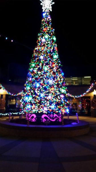 20161228_180309.jpg