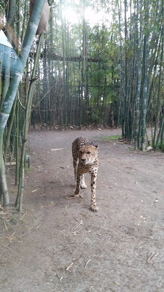 20161229_153338.jpg