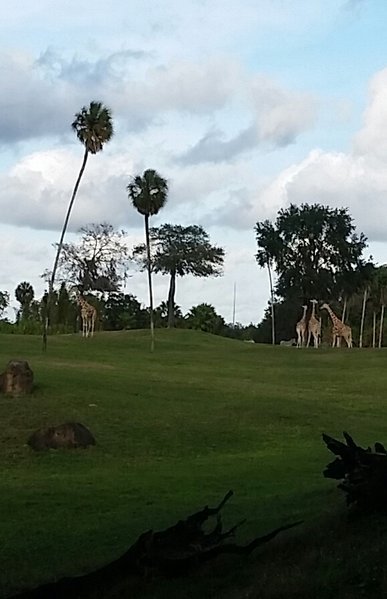 20161229_154751-1.jpg