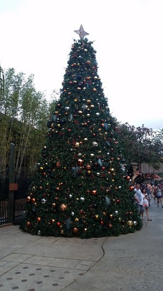 20161229_170844.jpg