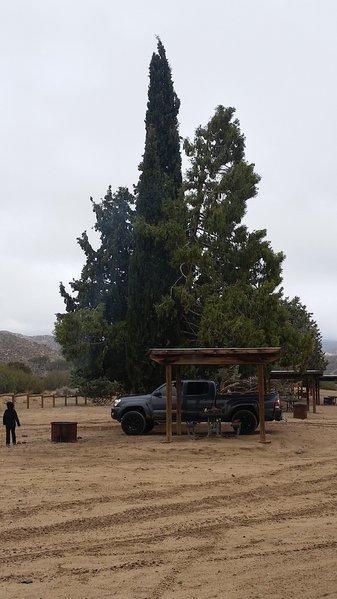 20161231_112218.jpg