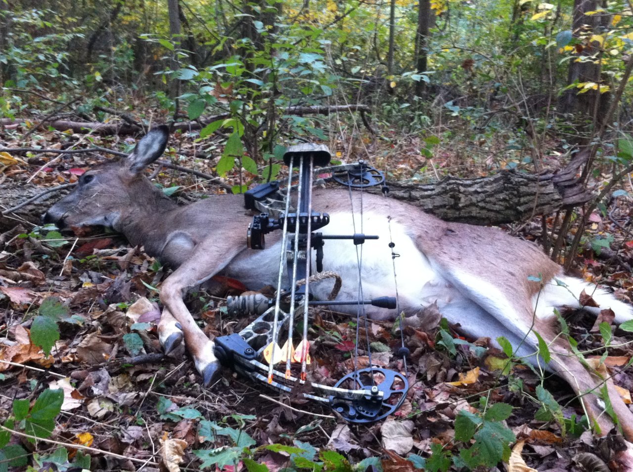 2017-Doe Matt 1.jpg