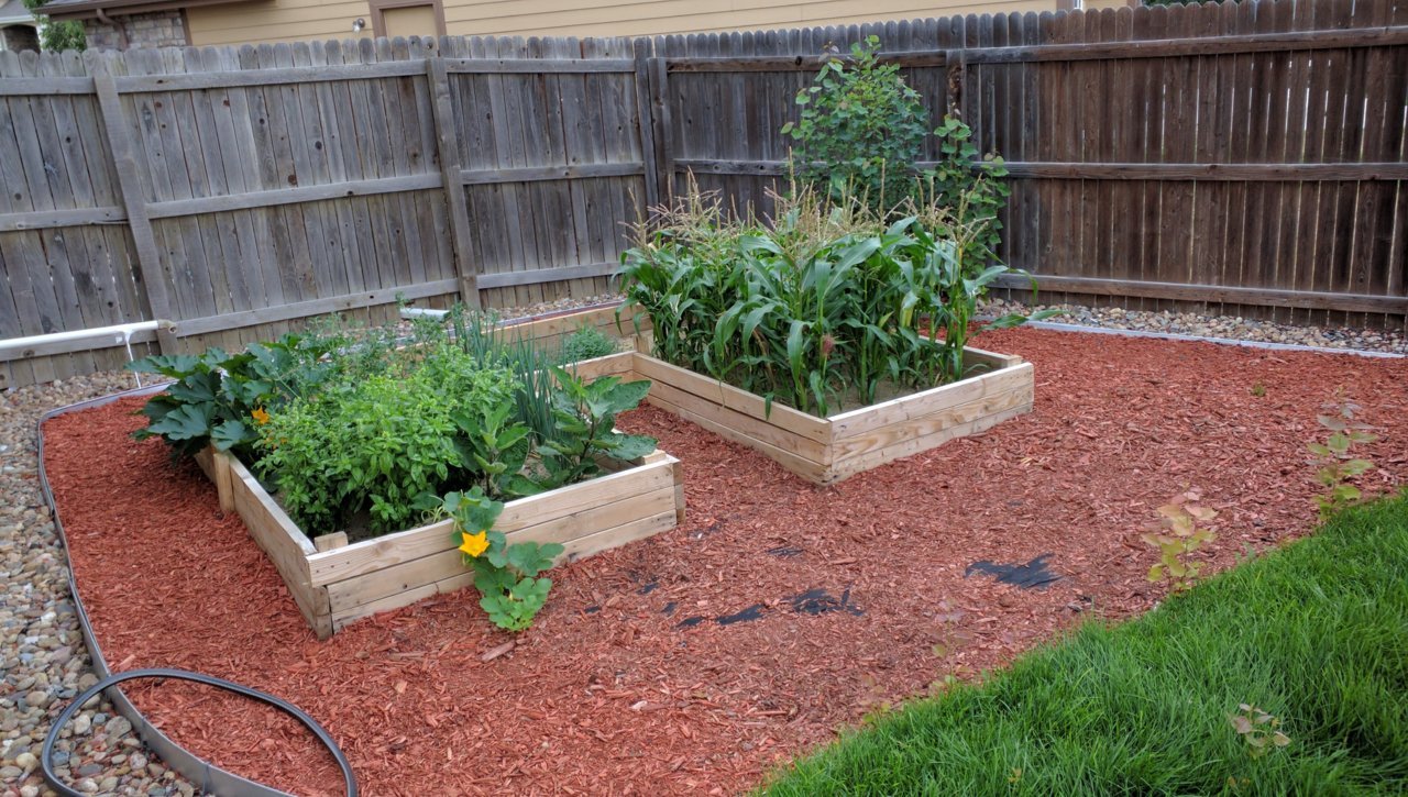 2017 Garden.jpg