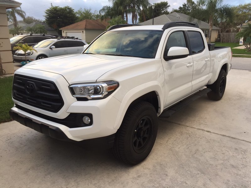 2017 Taco.jpg