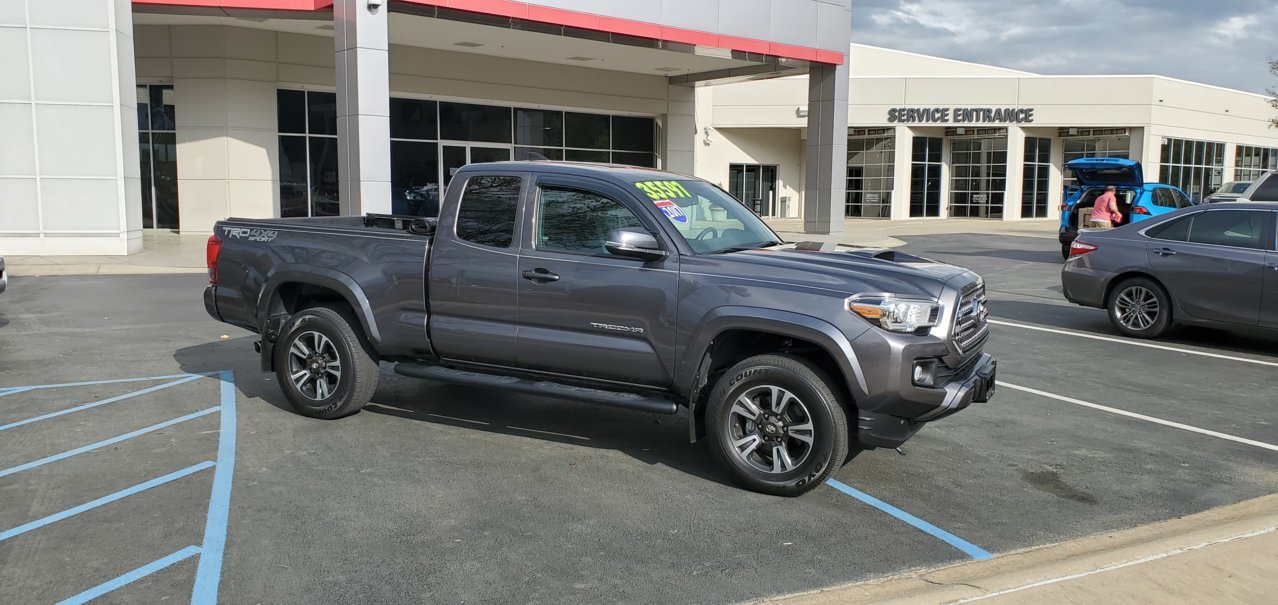 2017 taco!.jpg
