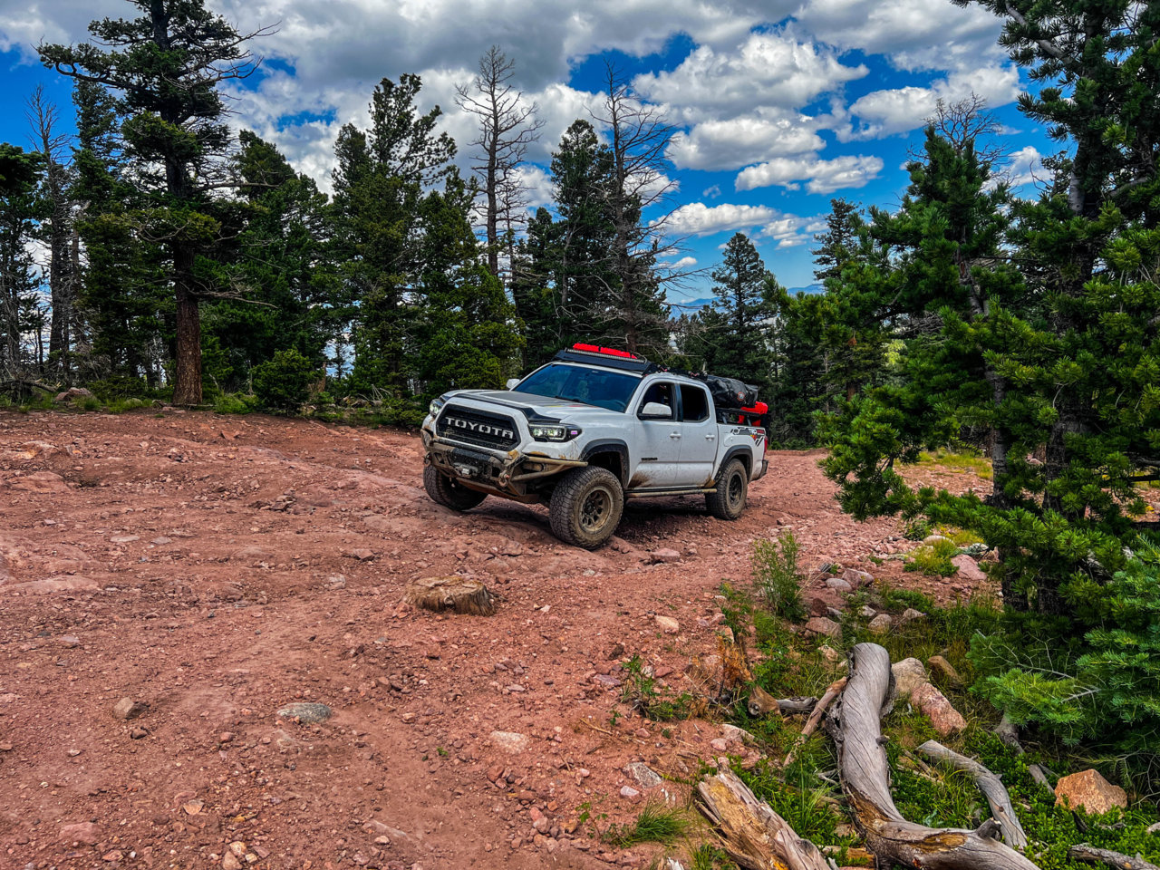 2017 Toyota Tacoma (17 of 68).jpg