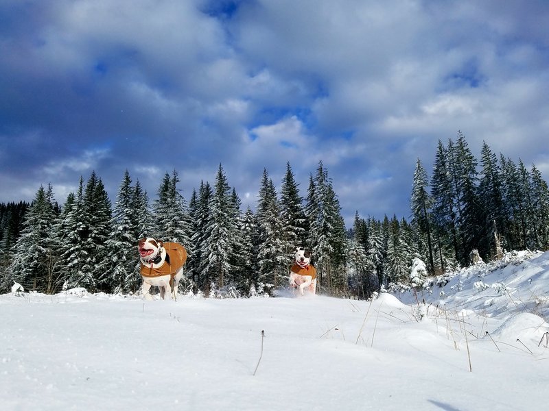 20170102_105336.jpg