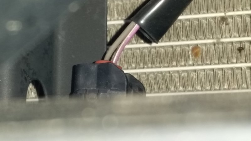 20170105_122414.jpg