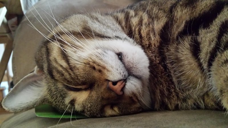 20170106_160138.jpg