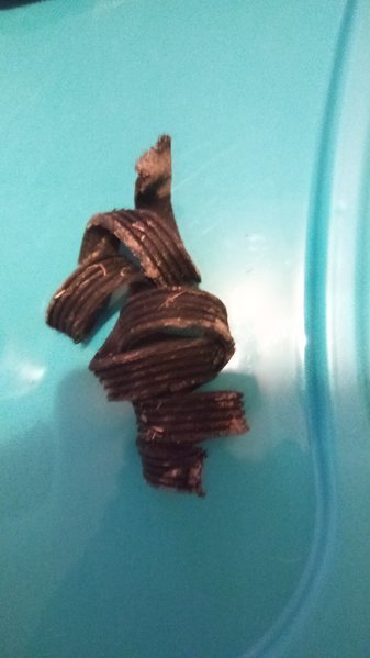 20170109_162612.jpg