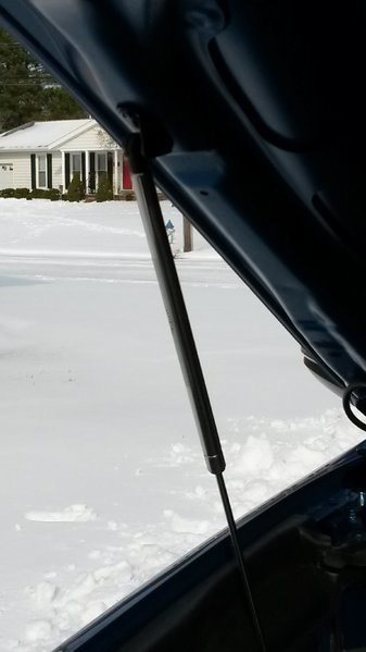 20170110_141224.jpg