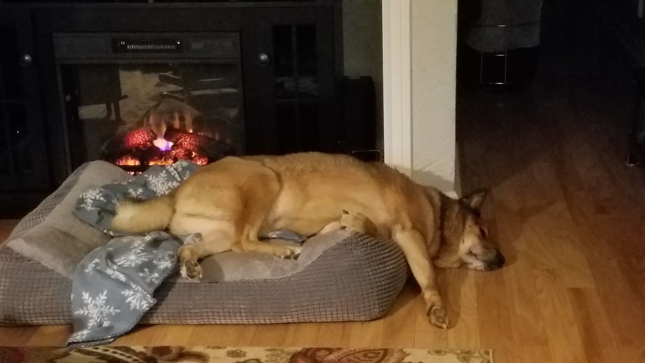 20170112_052510.jpg