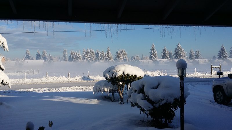 20170112_090658.jpg
