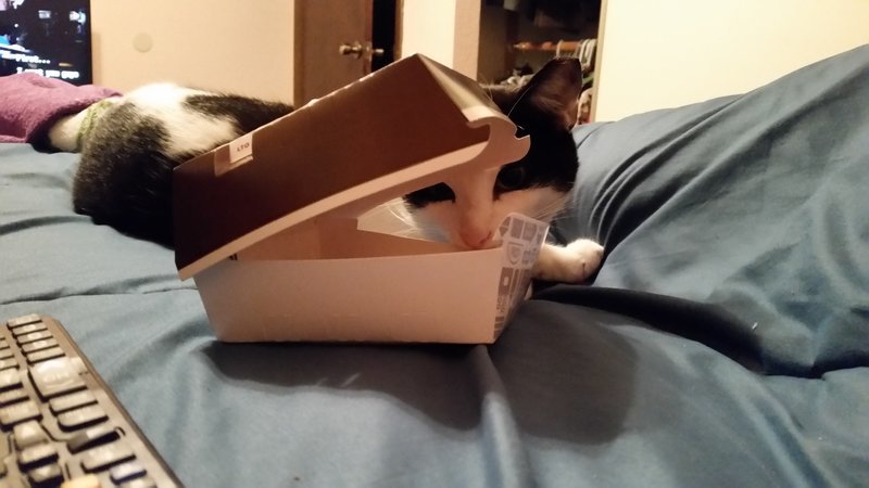 20170112_223324.jpg