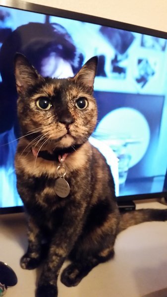 20170112_230125.jpg