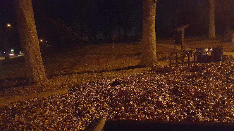 20170114_205303.jpg