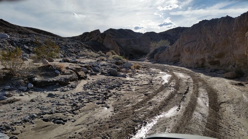 20170115_144946[1].jpg