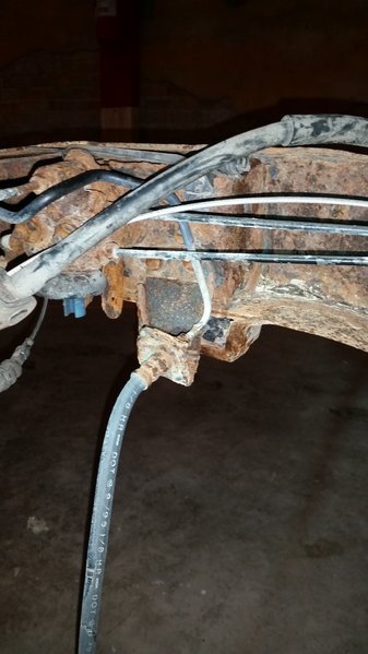 20170117_102121.jpg