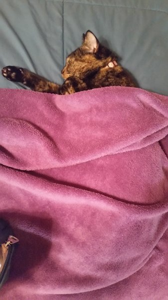 20170119_183552.jpg