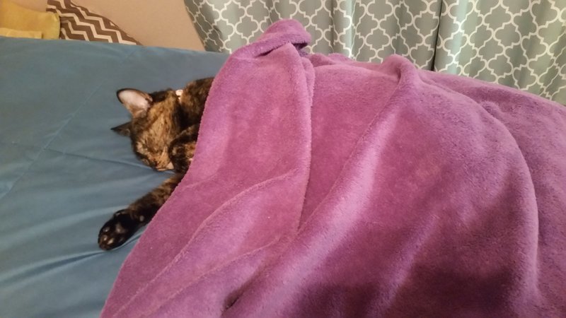 20170119_183603.jpg