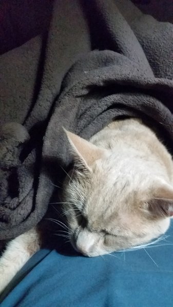 20170120_064132.jpg