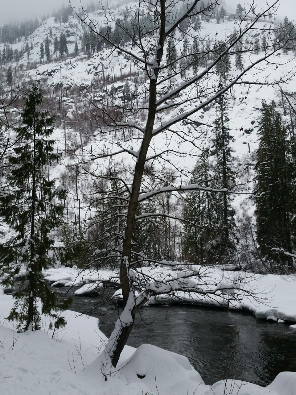 20170121_140328.jpg