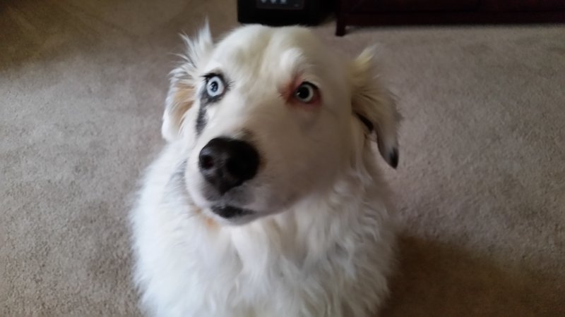 20170122_123555.jpg