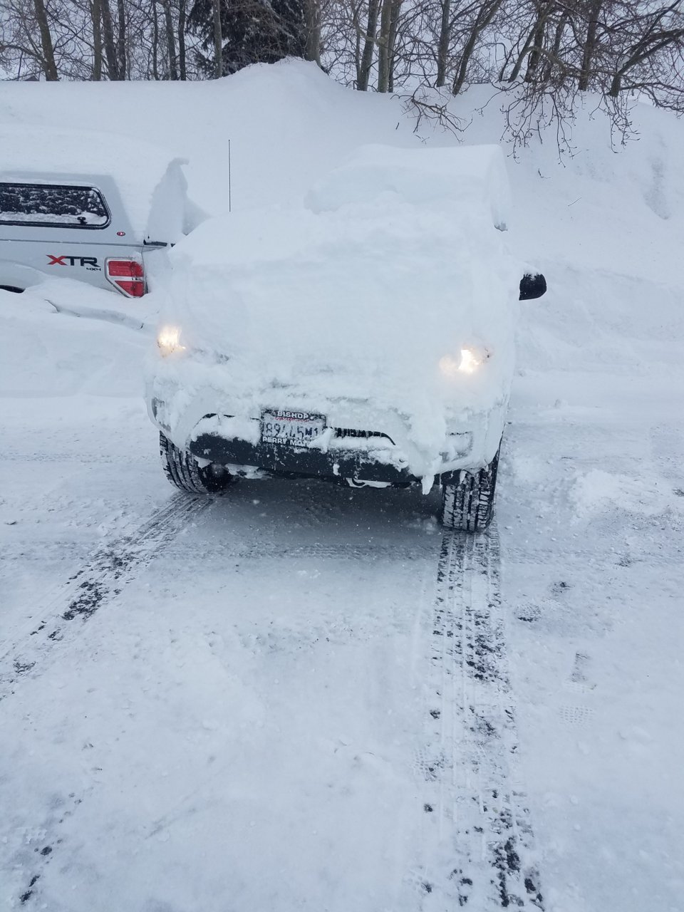 20170123_084143.jpg